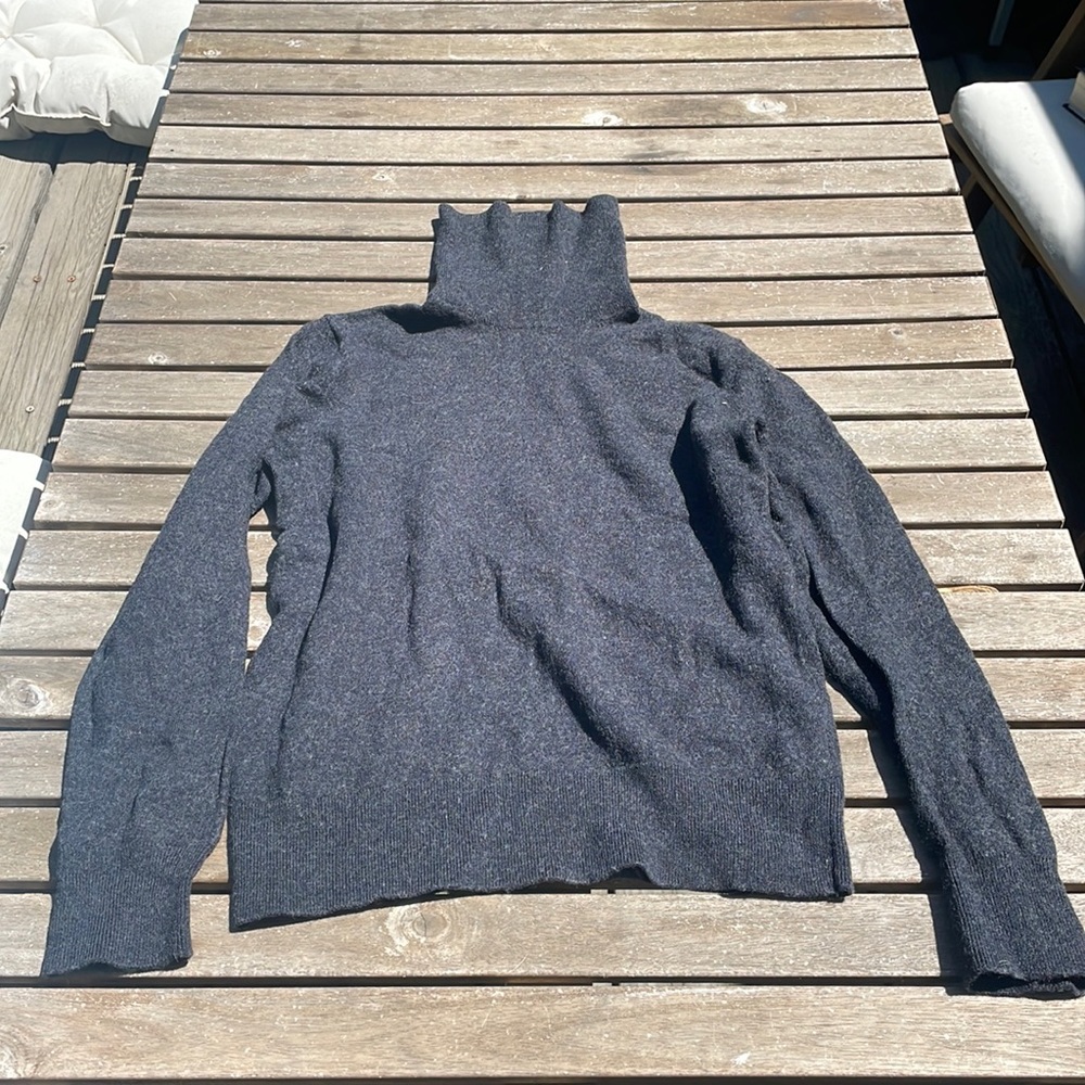 Banana Republic Thick Merino Turtleneck Sweater